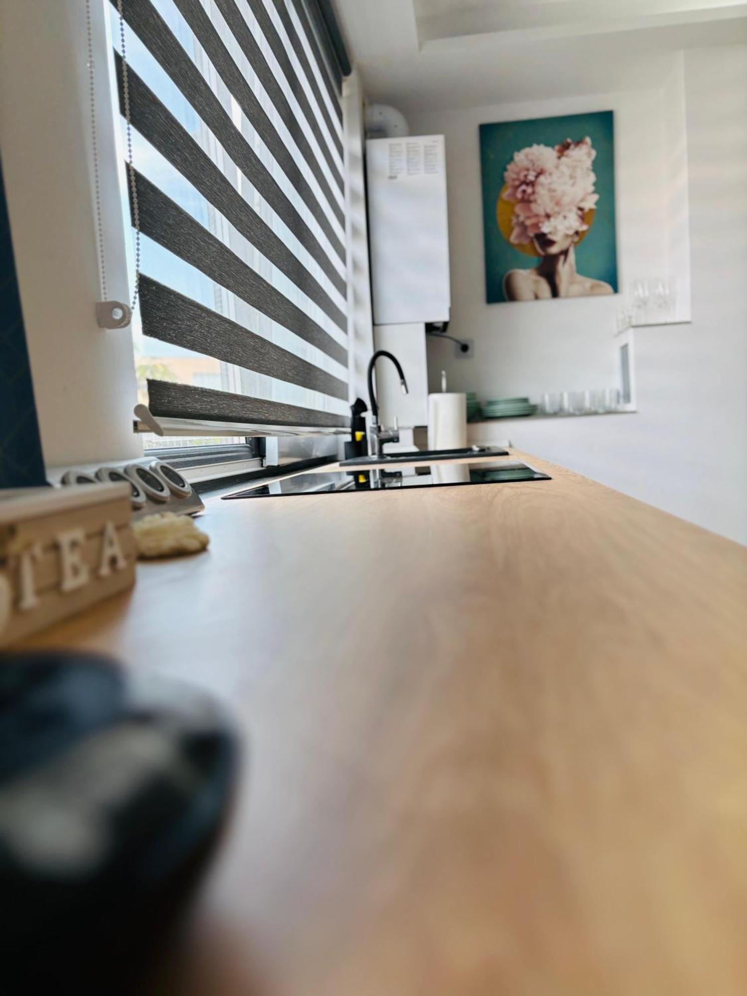 Amos Apartment-Ultracentral-Free Parking 克卢日-纳波卡 外观 照片