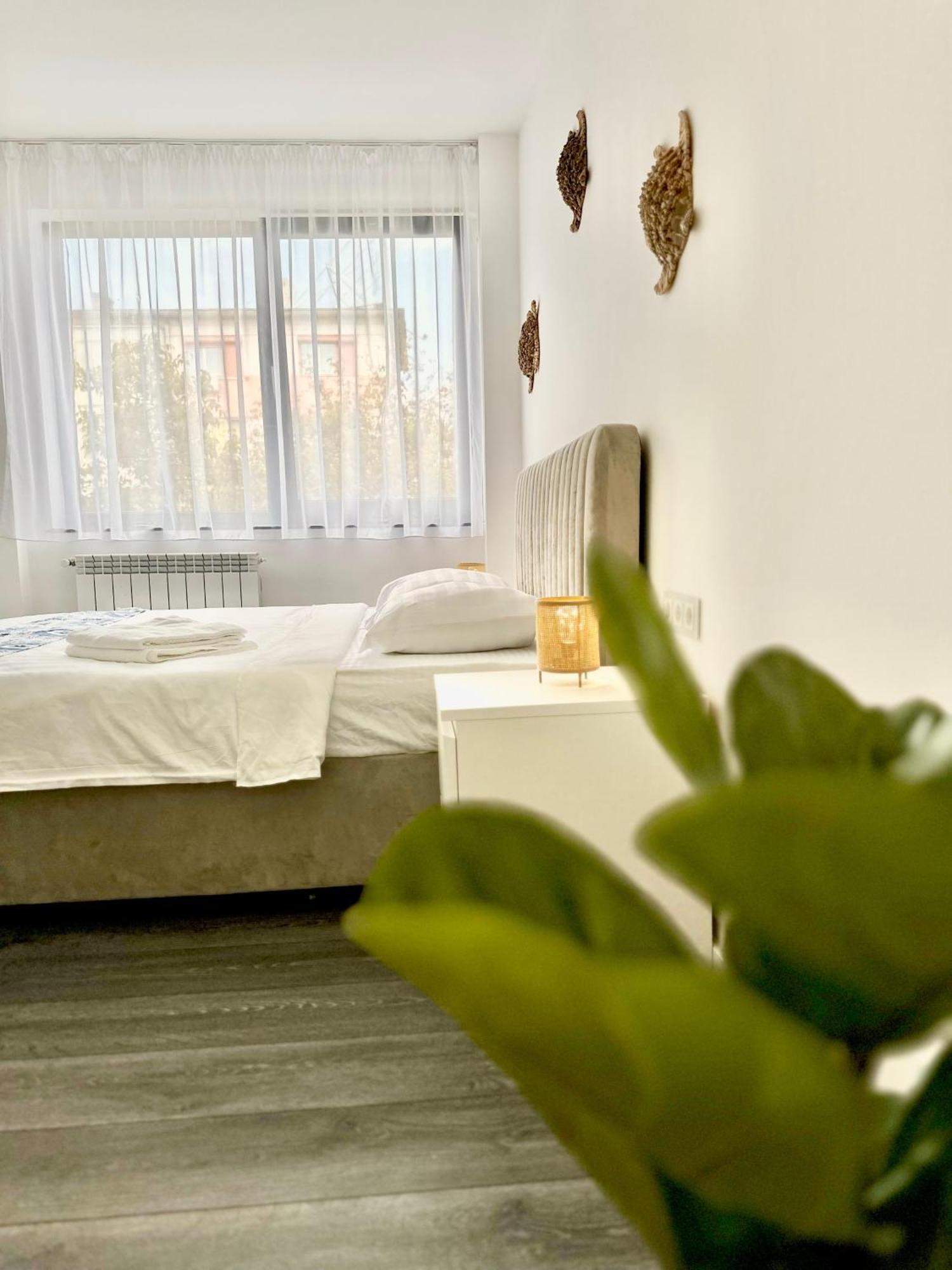 Amos Apartment-Ultracentral-Free Parking 克卢日-纳波卡 外观 照片