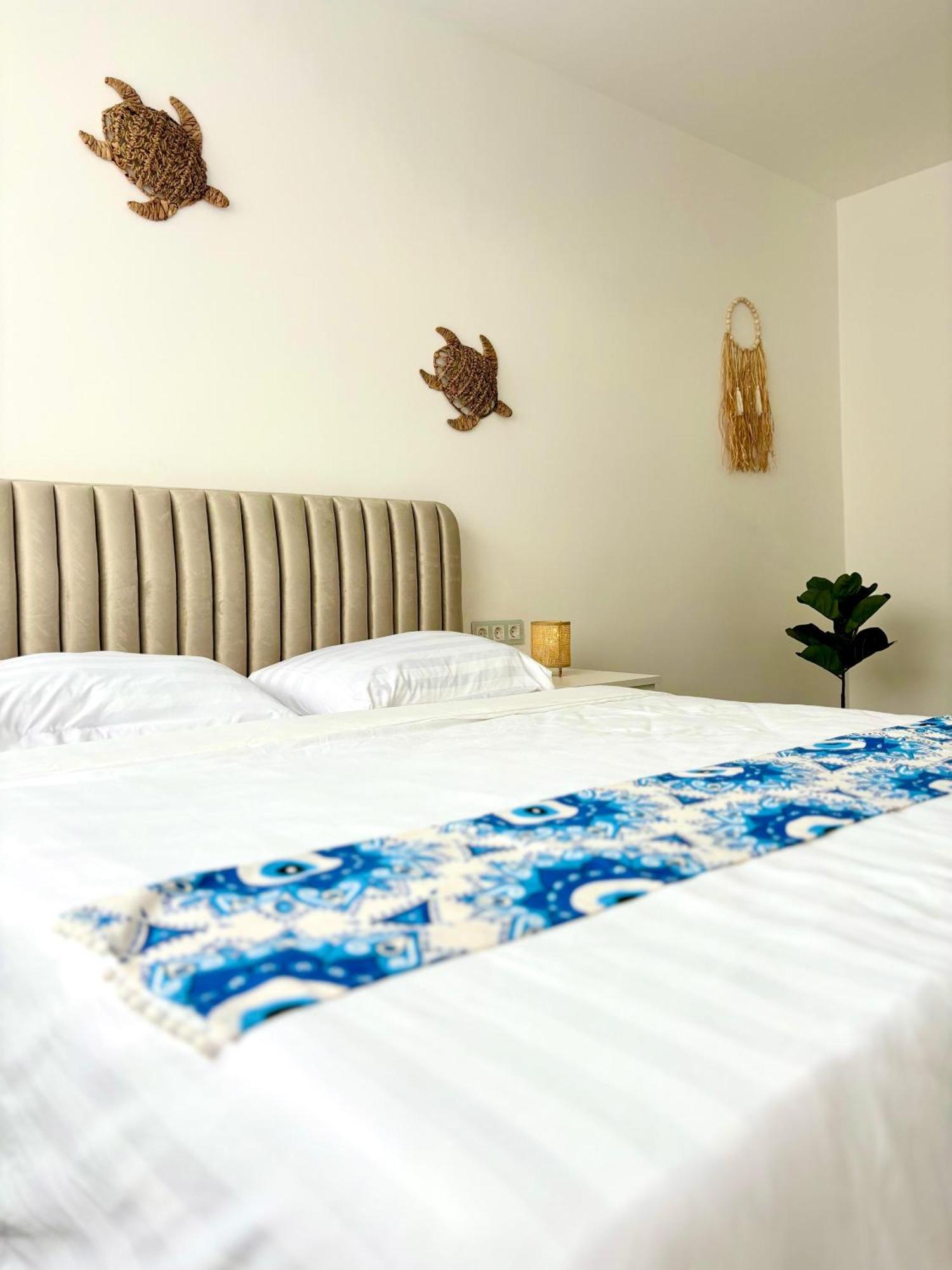 Amos Apartment-Ultracentral-Free Parking 克卢日-纳波卡 外观 照片